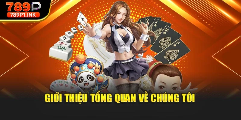 Giới thiệu tổng quan về chúng tôi